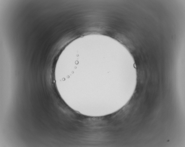 X0000113030338200910081224