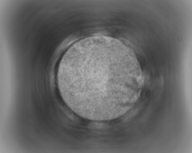 X0000113030339200910081224
