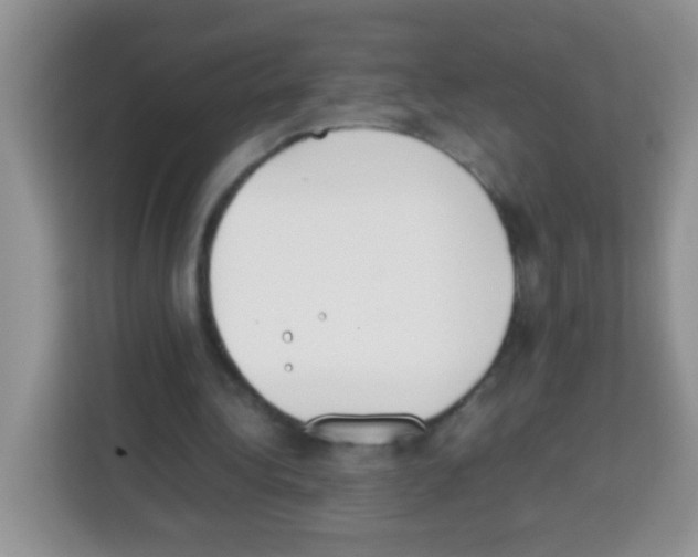 X0000113030340200910081224