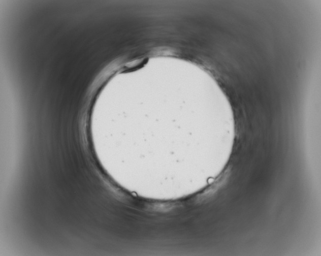 X0000113030341200910081224