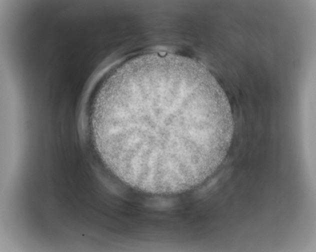 X0000113030343200910081224