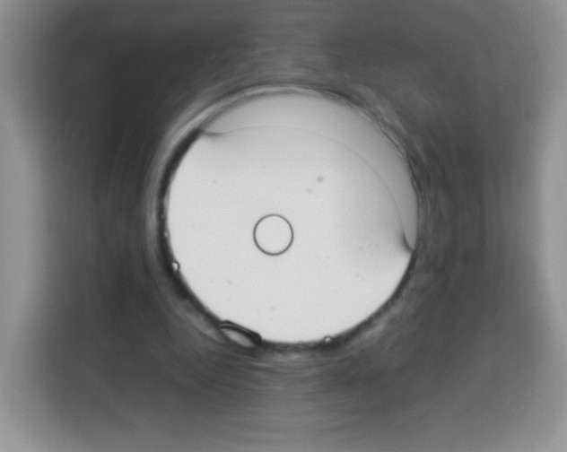 X0000113030344200910081224