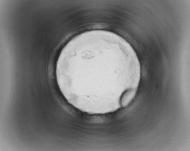 X0000113030347200910081224