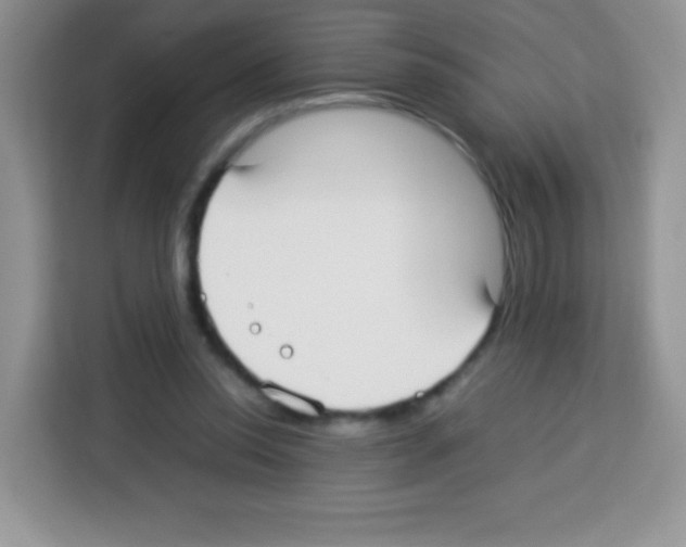 X0000113030350200910081224