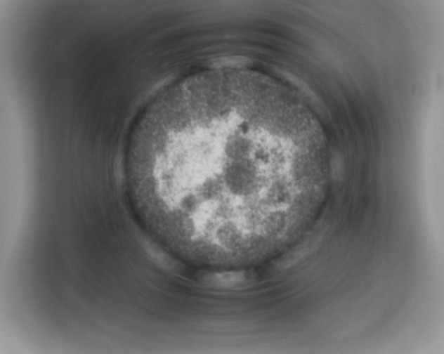 X0000113030353200910081225