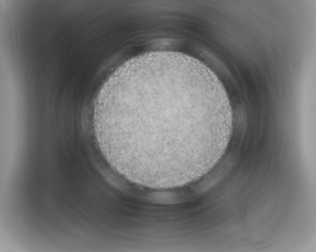 X0000113030361200910081225