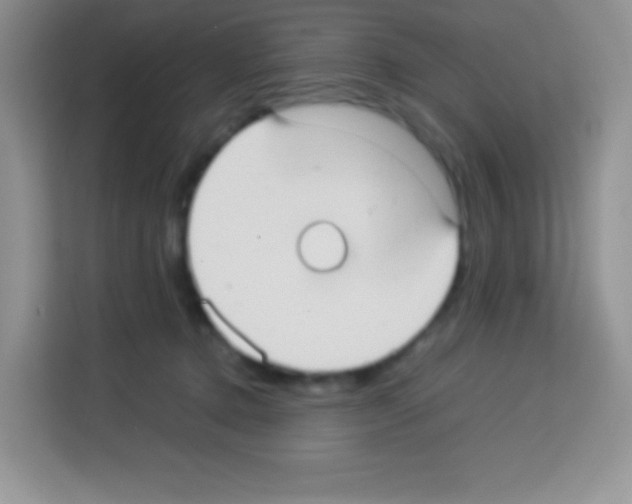 X0000113030368200910081225