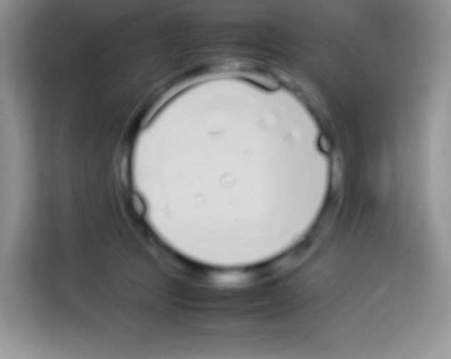 X0000113030369200910081225