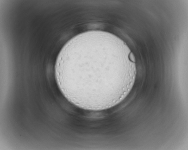 X0000113030375200910081225