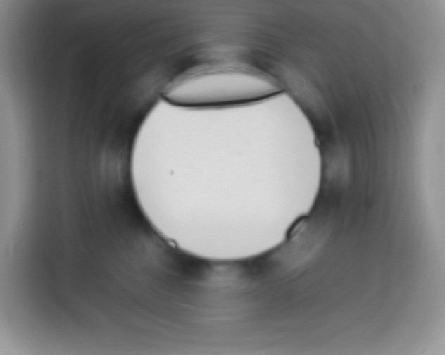 X0000113030376200910081225