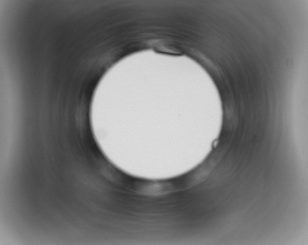 X0000113030379200910081225