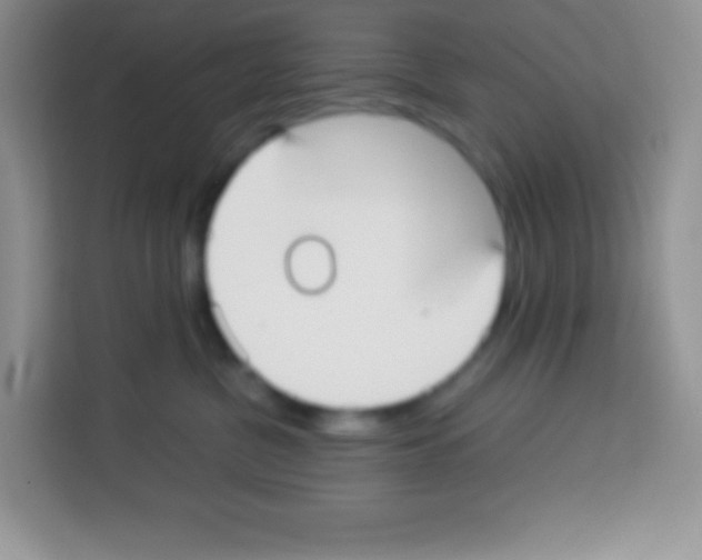 X0000113030380200910081225