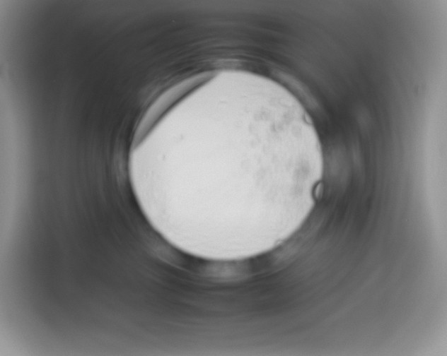 X0000113030381200910081225