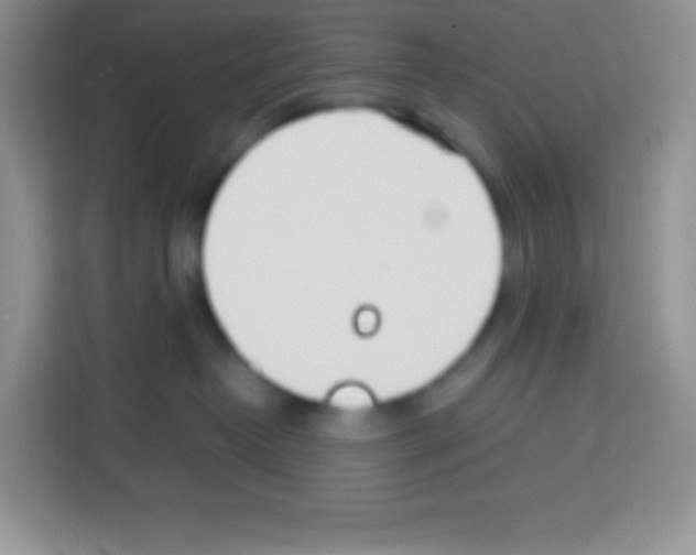 X0000113030382200910081225