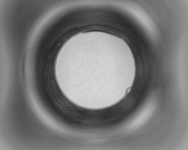 X0000113030383200910081225