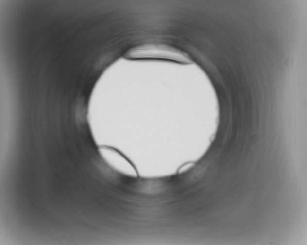 X0000113030384200910081225