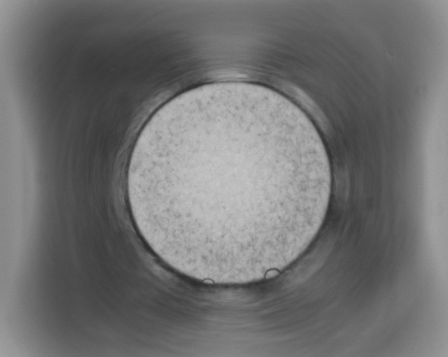 X0000113030385200910081224