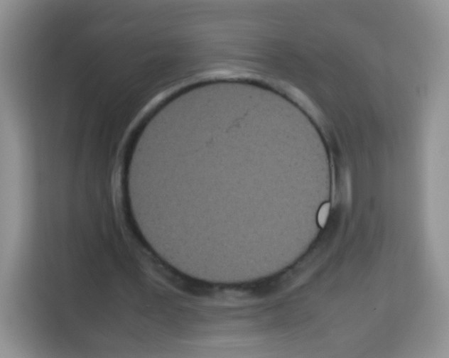 X0000113030387200910081224