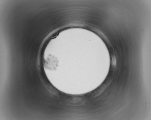 X0000113030388200910081224
