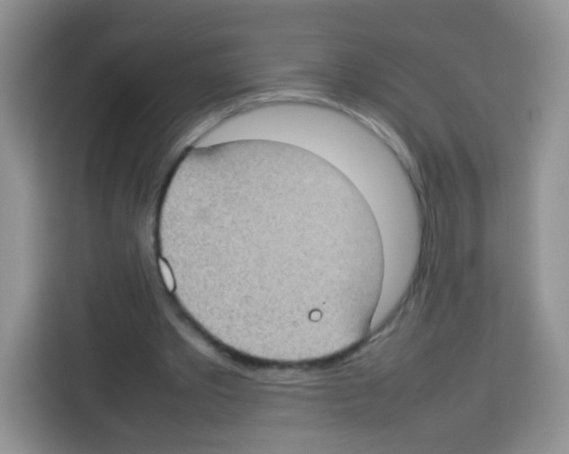 X0000113030389200910081224