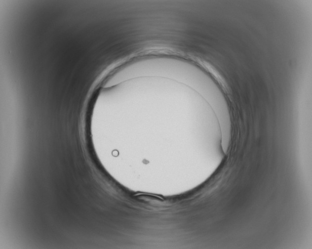 X0000113030391200910081224