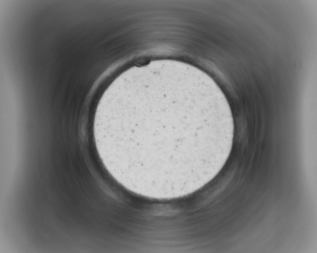 X0000113030392200910081224