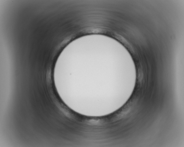 X0000113030394200910081224