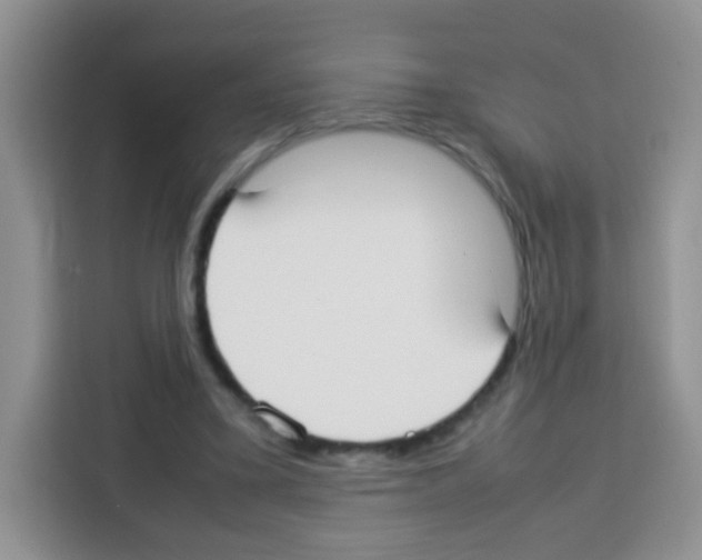 X0000113030395200910081224