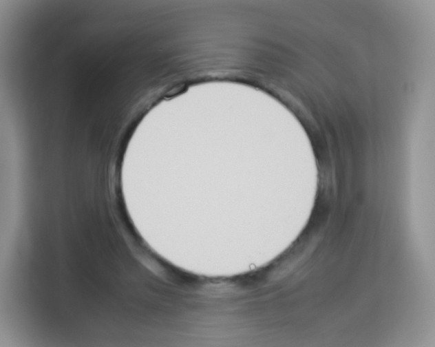 X0000113030397200910081224