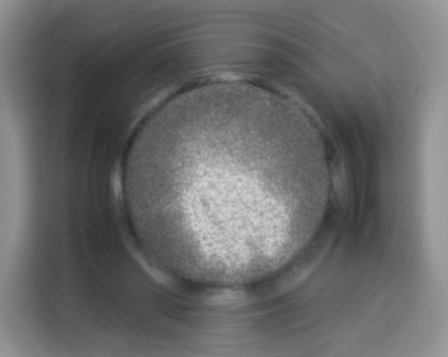 X0000113030398200910081224