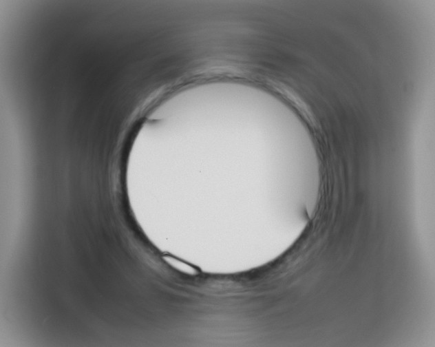 X0000113030399200910081224