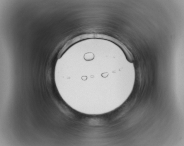 X0000113030400200910081224