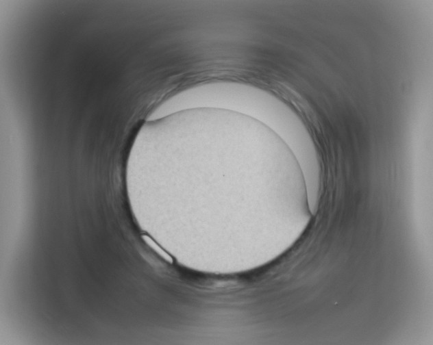 X0000113030401200910081224
