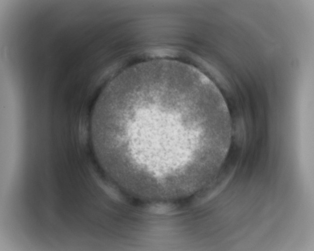 X0000113030402200910081224