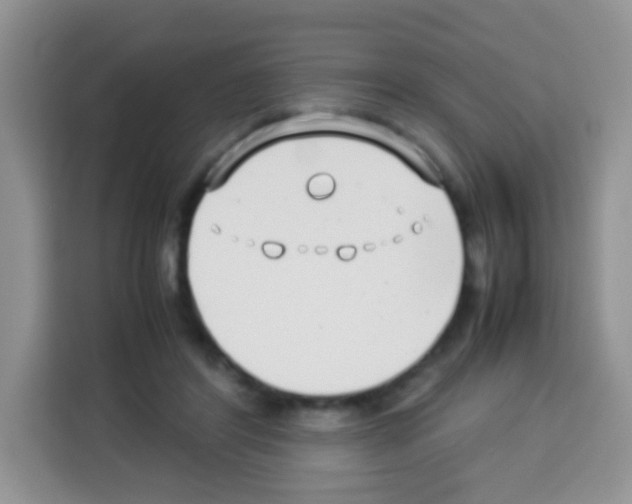X0000113030404200910081224