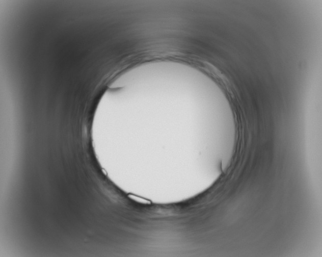 X0000113030405200910081224