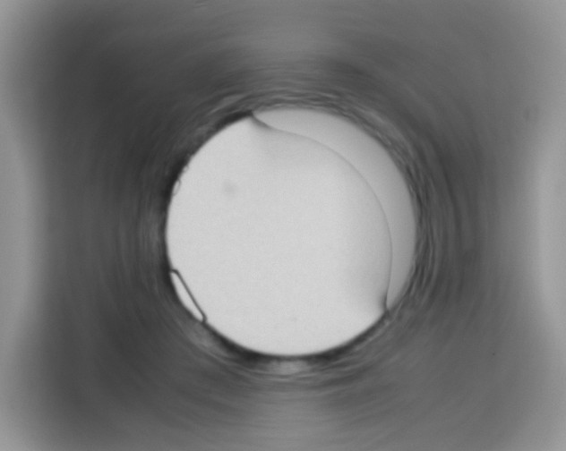 X0000113030409200910081224