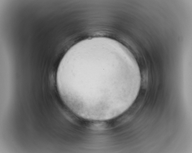 X0000113030410200910081224