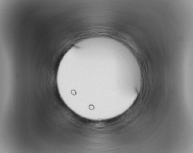 X0000113030411200910081224