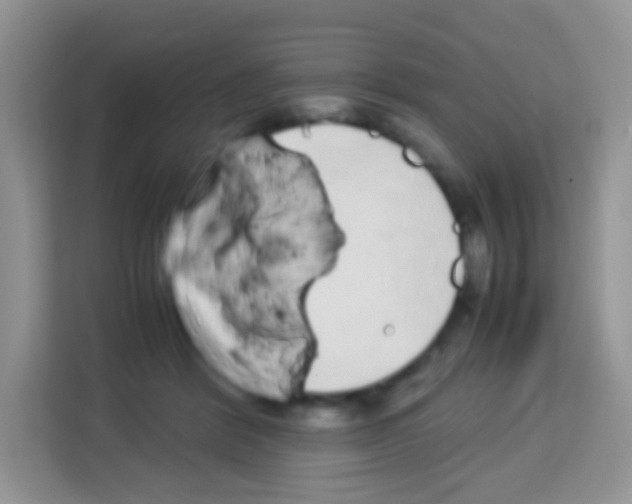 X0000113030412200910081224
