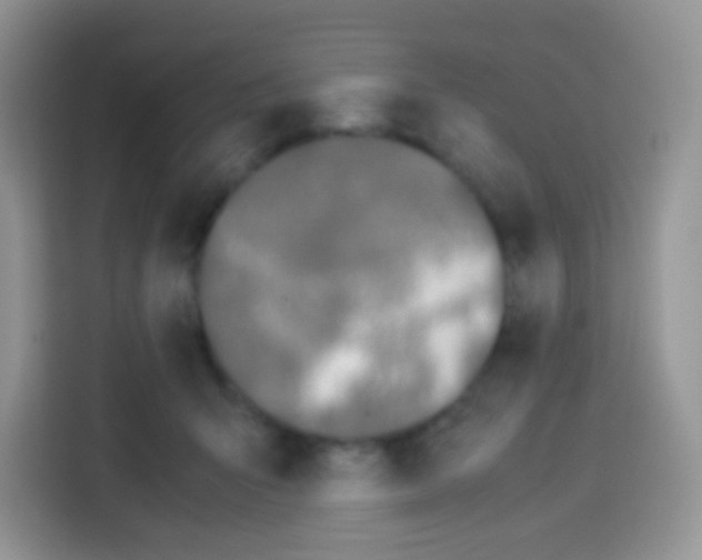 X0000113030415200910081224