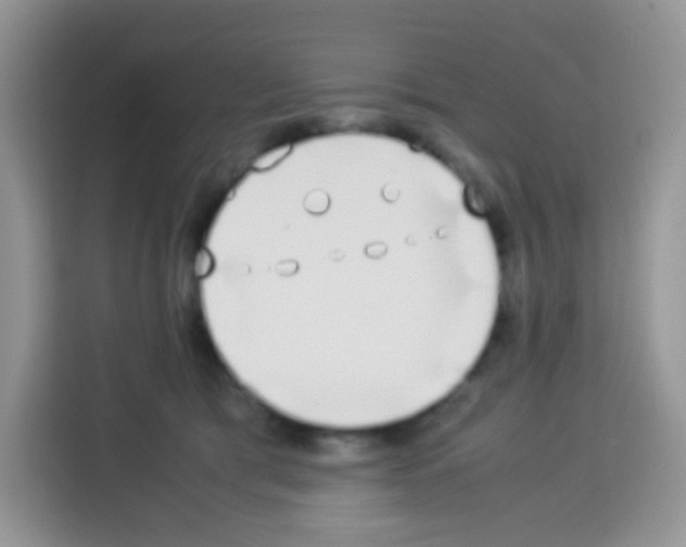 X0000113030417200910081224