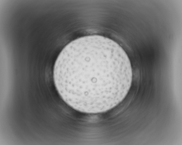 X0000113030418200910081224