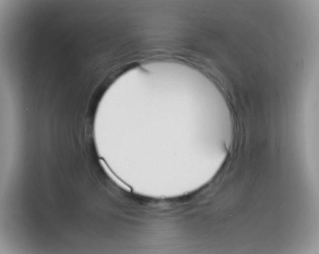 X0000113030419200910081224