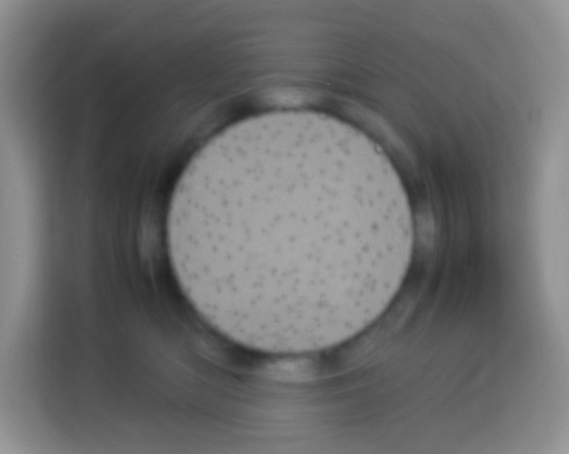 X0000113030422200910081224