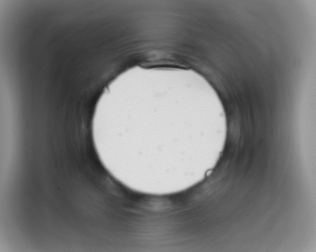 X0000113030424200910081224