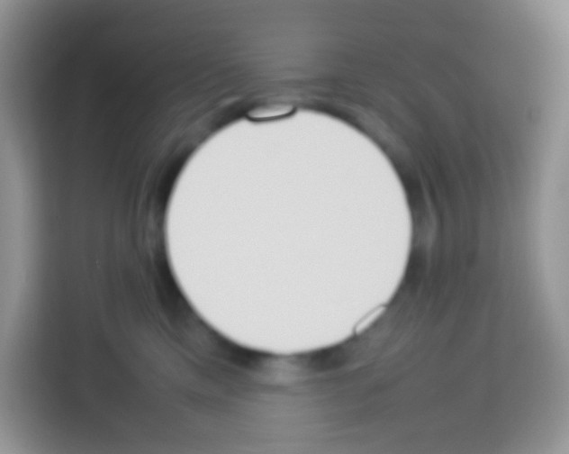 X0000113030425200910081224