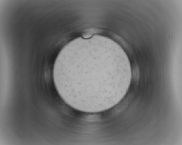 X0000113030426200910081224