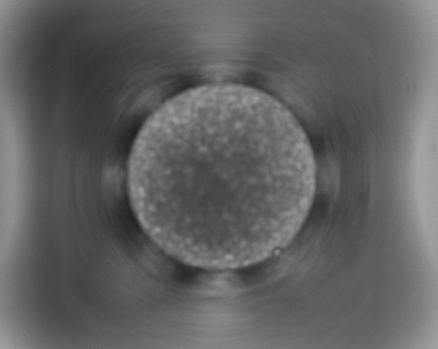 X0000113030427200910081224