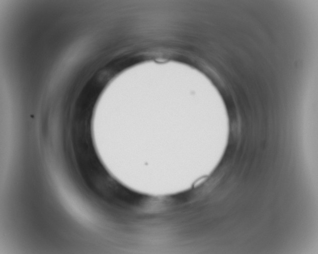 X0000113030429200910081224